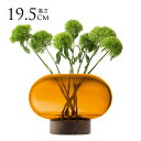 LSA International フラワーベース Oblate オブレート 花瓶 ランタン アンバー H19.5cm 透明 ガラス おしゃれ シンプル ガラス...