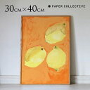 ポスター 北欧 アートポスター ペーパーコレクティブ Paper Collective アートポスター Lemons レモンの静物画 30×40cm 50 70...