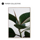 PAPER COLLECTIVE Green Home 02 ポスター 50×70cm ペーパーコレクティブ 北欧 デンマーク コペンハーゲン アート ウォール...