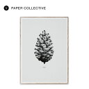 PAPER COLLECTIVE Pine Cone - Grey ポスター 50×70cm ペーパーコレクティブ 北欧 デンマーク コペンハーゲン アート ウォールデコレーション おしゃれ