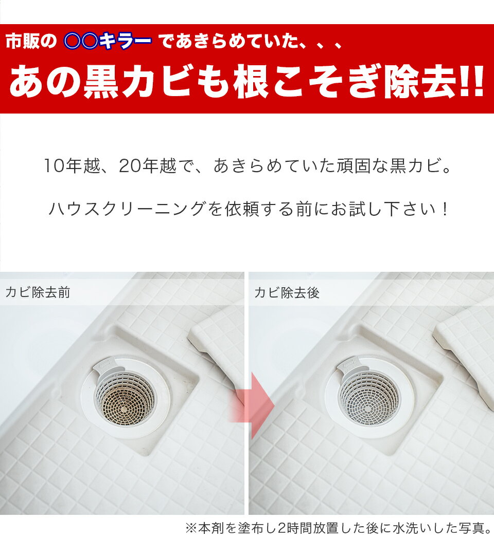 カビとり一番 180g 2本 先細ノズル付 業務用 プロ用 カビ取り一番 カビ取り剤 カビ 風呂 ふた ゴムパッキン シリコン樹脂 タイル目地 黒ずみ カビ除去 特許製法 掃除 風呂掃除 テレビショッピング テレショップ 人気 QVC 浴室 カビ きれい 黒カビ カビとり カビ取りジェル