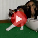 【ボーナスSALE開催中】猫砂マット 砂取りマット 90cm × 70cm ワイド ずれない 猫砂トイレマット 人工芝 日本製 防水 掃除機対応 ねこ砂 ネコ砂...