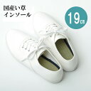 【ボーナスSALE開催中】インソール ジュニア 消臭 抗菌 い草インソール ネイビー 約 19cm