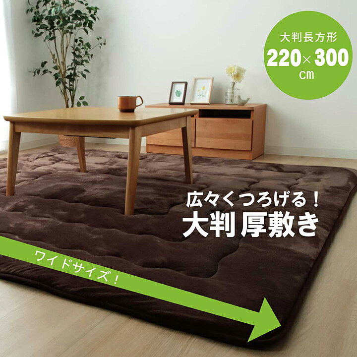 GARNIER(ガルニエ)のラグ こたつ敷き布団 長方形大 幅広ラグ ブラウン 約 220×300cm｜アングル2