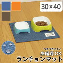 【サマーSALE開催中】【5枚セット】はっ水加工のランチョンマット
