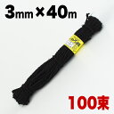 【期間限定ポイント2倍】しゅろ縄(黒)3mm×40m(入数100)100個入 100巻 棕櫚 シュロ クロ ガーデニング 庭 農業 業務資材 支柱結束資材 結束...
