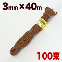【期間限定ポイント2倍】しゅろ縄(茶色) 3mm×40m(入数100)100個入 100巻 棕櫚 シュロ チャ ガーデニング 庭 農業 業務資材 支柱結束資材 ...
