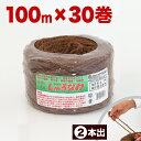 【ボーナスSALE開催中】しゅろ縄 平巻 3mm×100m 茶 (二本出) 入数30 30個入 30巻 チャ ガーデニング 庭 農業 業務資材 支柱結束資材 結...