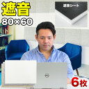 【サマーSALE開催中】防音 遮音 吸音 パネル 80cm 60cm 45度カットタイプ 6枚セット 断熱 消音 YouTuber 御用達 DIY 防音パネル ...