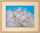 中島千波 「 千歳櫻 」 岩絵具方式 複製 日本画