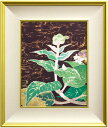 小倉遊亀 「 咲きそむ 」 木版画【中古】