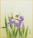 中村 凌 「 菖蒲 」 色紙絵