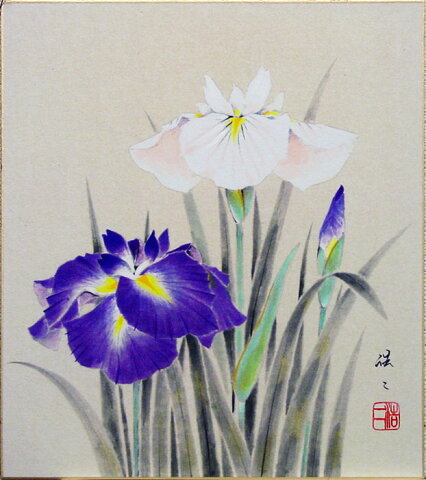 佐藤浩二『菖蒲』色紙絵