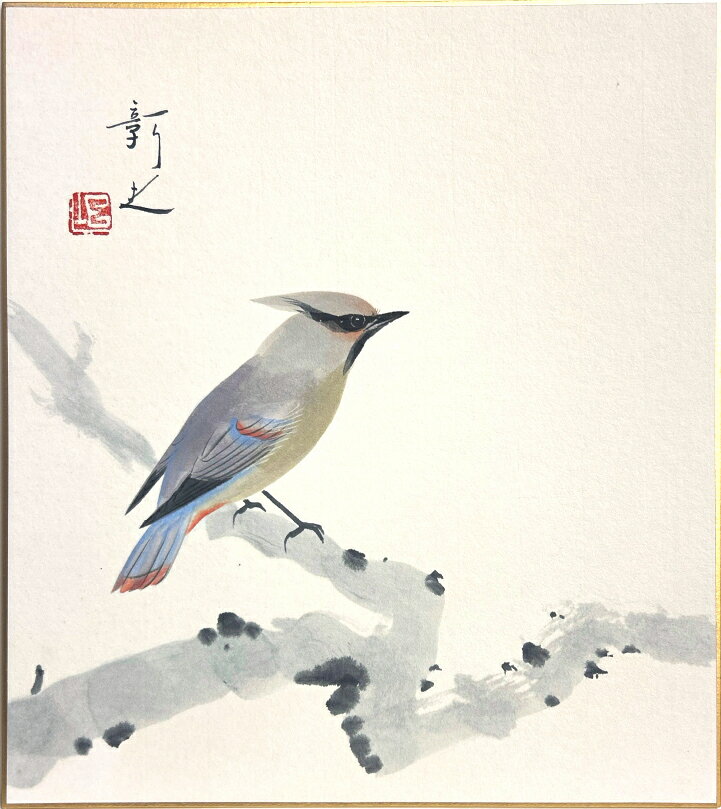 石垣彰夫 「 ヒレンジャク 」 色紙絵