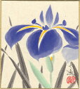 中谷文魚 「 菖蒲 」 ミニ色紙絵 ( 寸松庵 )