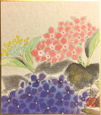 中谷文魚 「 紫陽花 」 ミニ色紙絵 ( 寸松庵 )