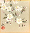 中谷文魚 「 桜 」 ミニ色紙絵 (寸松庵 )