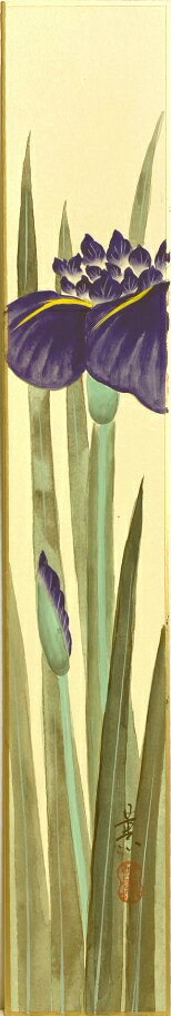 小野木 薫「 菖蒲 」 短冊絵