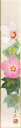 中谷文魚 「 芙蓉 」 短冊絵
