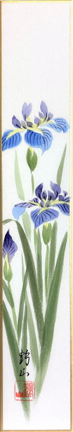 松浦鶴山『菖蒲』短冊絵