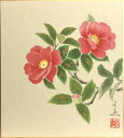 中谷文魚 「 山茶花 」 色紙絵