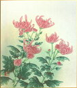 中村千春 「 菊 」 色紙絵
