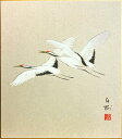 川村白樹 「 飛鶴 」 色紙絵