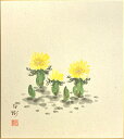 川村白樹 「 福寿草 」(3) 色紙絵