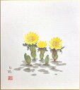 川村白樹 「 福寿草 」(5) 色紙絵