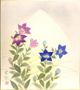 岩下成芳 「 桔梗 」 色紙絵