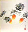 鈴木光洋 「 からすうり 」 色紙絵