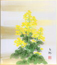 川村白樹 「 菜の花 」 色紙絵