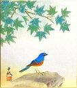 林 亜綜 「 青楓 」(2) 色紙絵