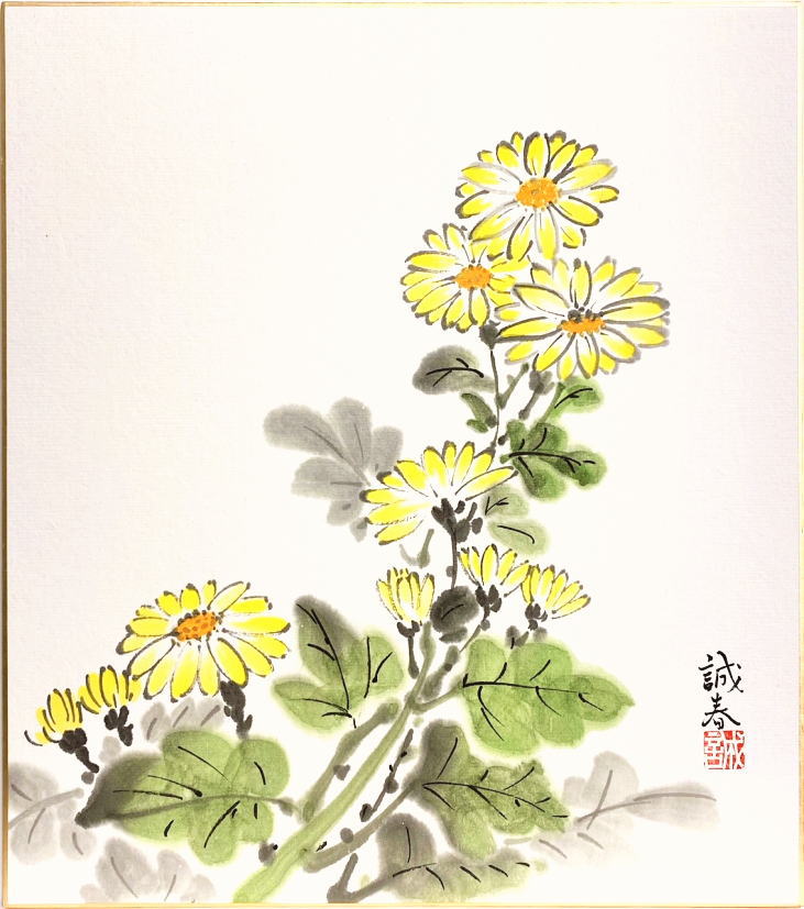 楠田誠春『小菊』色紙絵