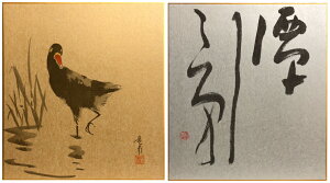 日本美術会「絵と書」絵:『鷭(ばん)』長谷川龍甫書:『潭影(たんえい)』若月寿山色紙2枚セット