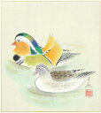中谷文魚『鴛鴦(おしどり)』色紙絵