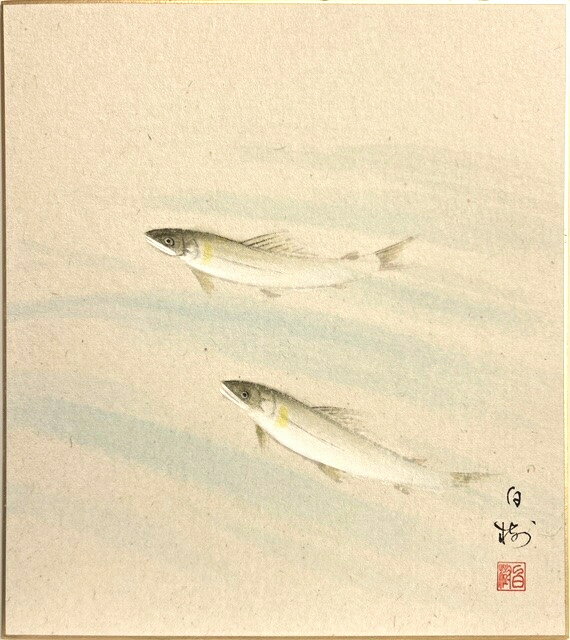 Flowers and Birds - 川村白樹 「 鮎 」 (2)　色紙絵