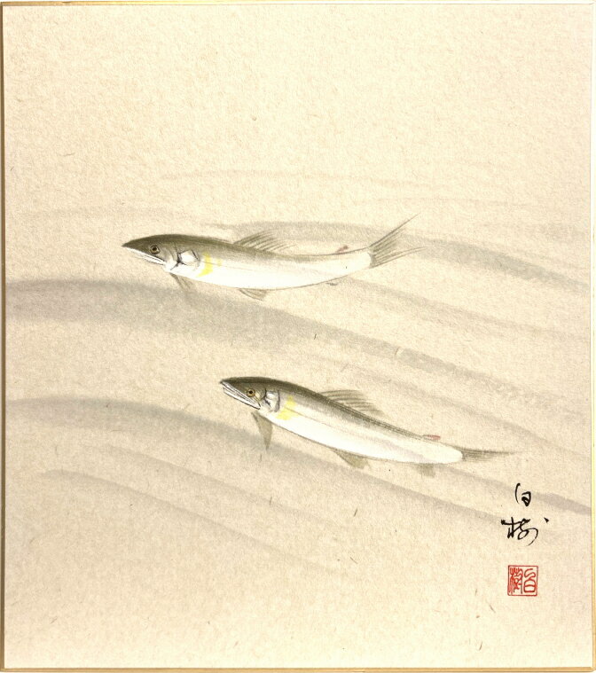 Rakuten - 川村白樹 「 鮎 」 (3)　色紙絵