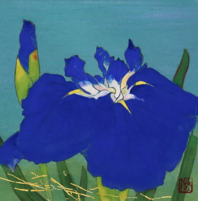 上村俊明 「 花菖蒲 」 日本画 ミニアチュール【中古】【新古品】