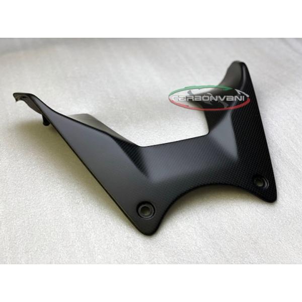 CARBONVANI カーボンバーニ ディアベルV4 タンク・フロントカバー カーボン製 DIAVEL-V4 ドゥカティ
