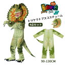 ハロウィン 衣装 子供 男の子 恐竜 着ぐるみ 4点セット キッズ 女の子 トリケラトプス コスチューム 子ども ティラノサウルス 仮装 コス ステゴサウルス Tレックス スピノサウルス コスプレ リアル 本(3)