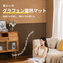 ホットカーペット 本体 100cm 200cm 60段階温度調節 電気カーペット 電気マット ホットマット ダニ退治 足元 暖房 省エネ フローリング はっ水加工 防水 木目調 1.6mm