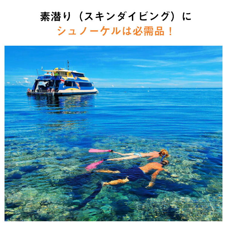 3点セット シュノーケリングセット レディース シュノーケルマスク 100％ドライ シ...