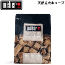 【日本正規販売店】ウェーバー 天然点火キューブ 着火剤 チャコール BBQ グリル キャンプ グランピング weber 17612