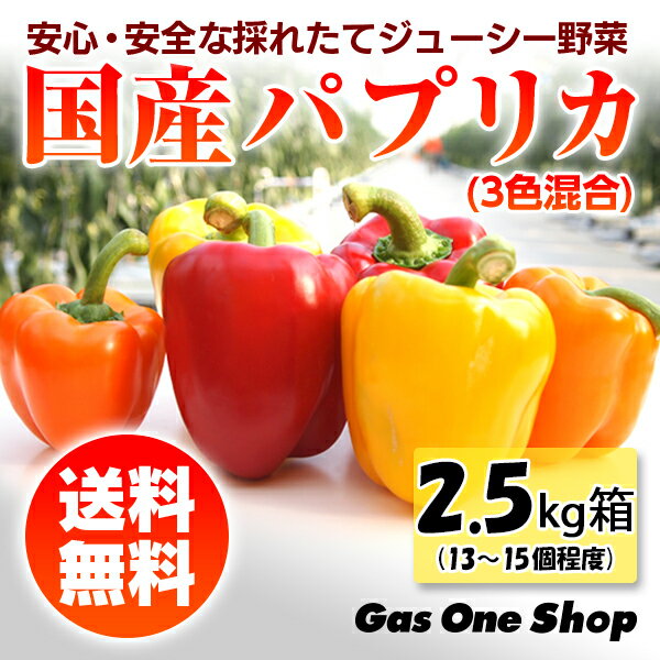 【送料無料】国産　パプリカ 赤・黄・オレンジ アラカルトセット2.5kg箱 A品（13〜15個程度・個包装・化粧箱入）【産直】【野菜】【安全】