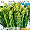 国産 十勝産グリーンアスパラ　1kg　L～2Lサイズ（35本前後）【産直】【野菜】【安全】