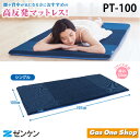 ゼンケン キュービックボディ プレミアム シングル PT-100