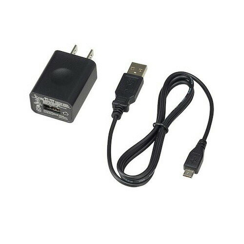 携帯型デジタルトランシーバー IC-DPR30(登録局対応) ACアダプター BC-222 アイコム