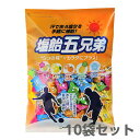 【5/1限定 全品P5倍&限定クーポン有】塩飴5兄弟 800g 袋入 10袋セット