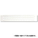 ヘキサスケール 調査士タイプ 15cm No.16-411